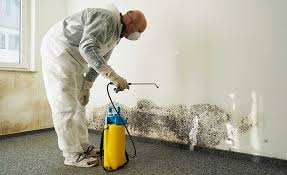 Best Forensic Mold Investigation in Harrison, WI